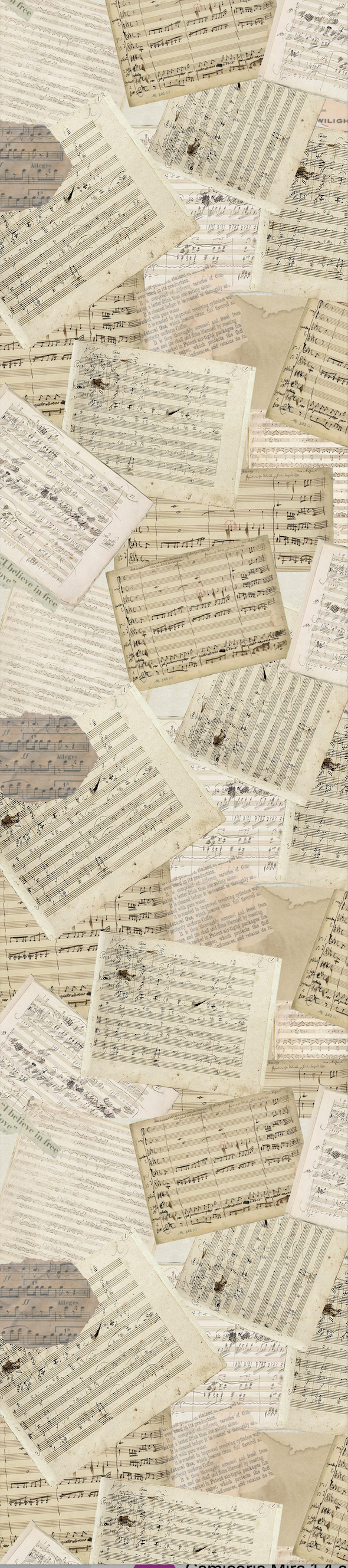 Ovunque Tu Vada - Gate 5