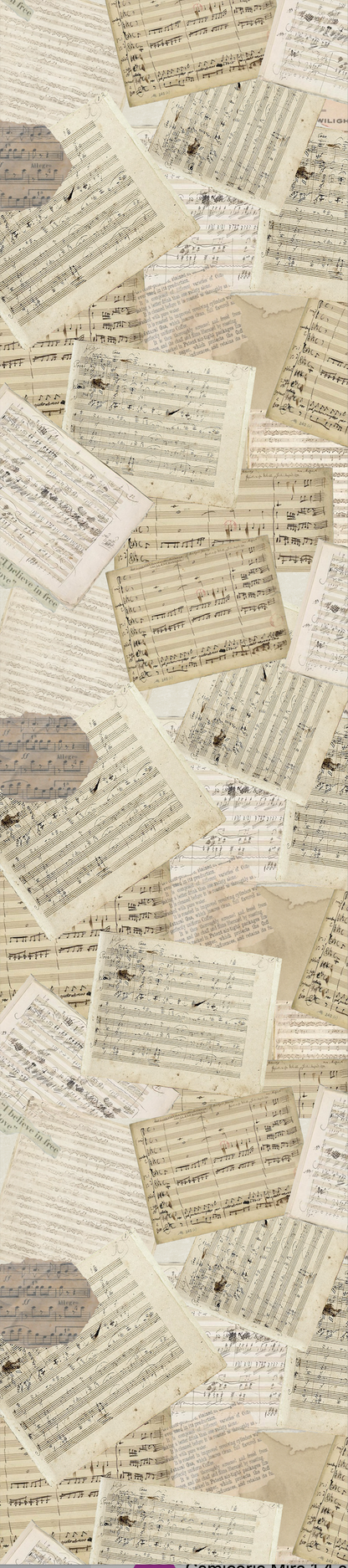 Ovunque Tu Vada - Gate 5